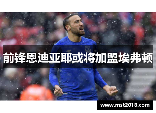 前锋恩迪亚耶或将加盟埃弗顿